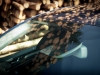_MG_0482-Edit