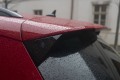 DSC03559