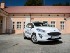 Ford Fiesta Titanium AutoKois (23)