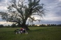 Honda-CB650R-5