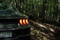 Ford-Mustang-Dark-Horse-V8-2