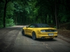 Ford Mustang GT Convertible (8)