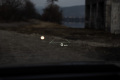 Hyundai-Tucson-20th-Anniversary-Hybrid-4x4-31