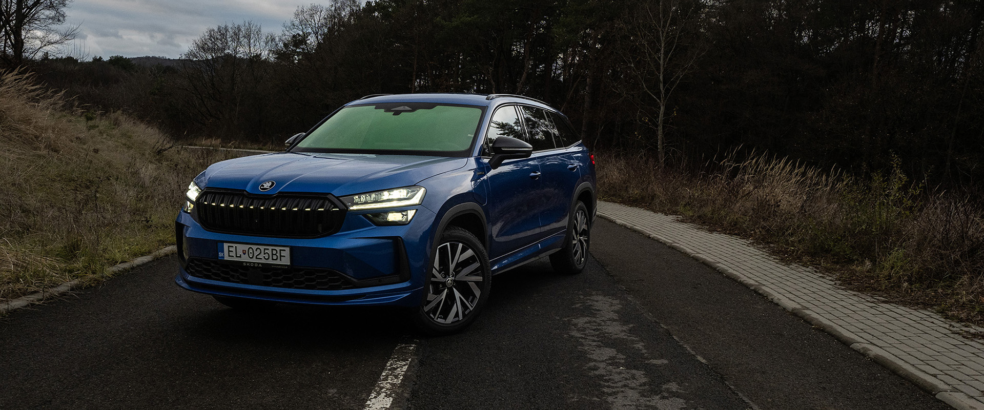 Škoda Kodiaq Sportline iV