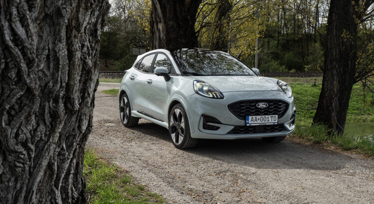 Ford Puma ST line Cactus Grey