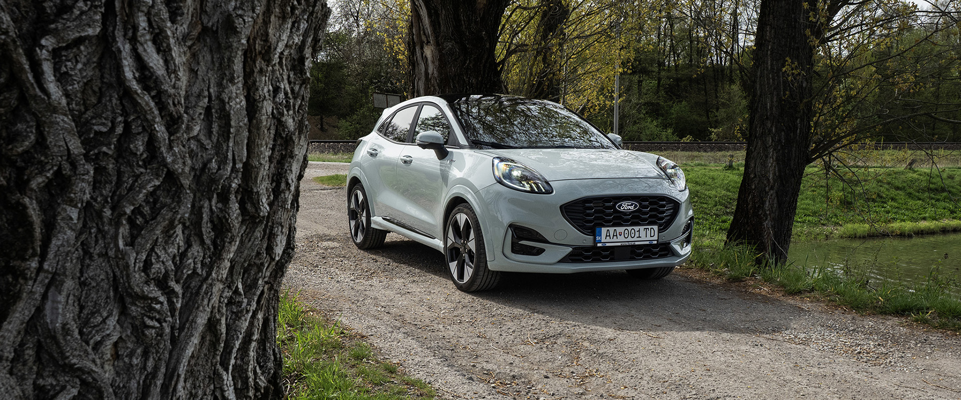 Ford Puma ST line Cactus Grey